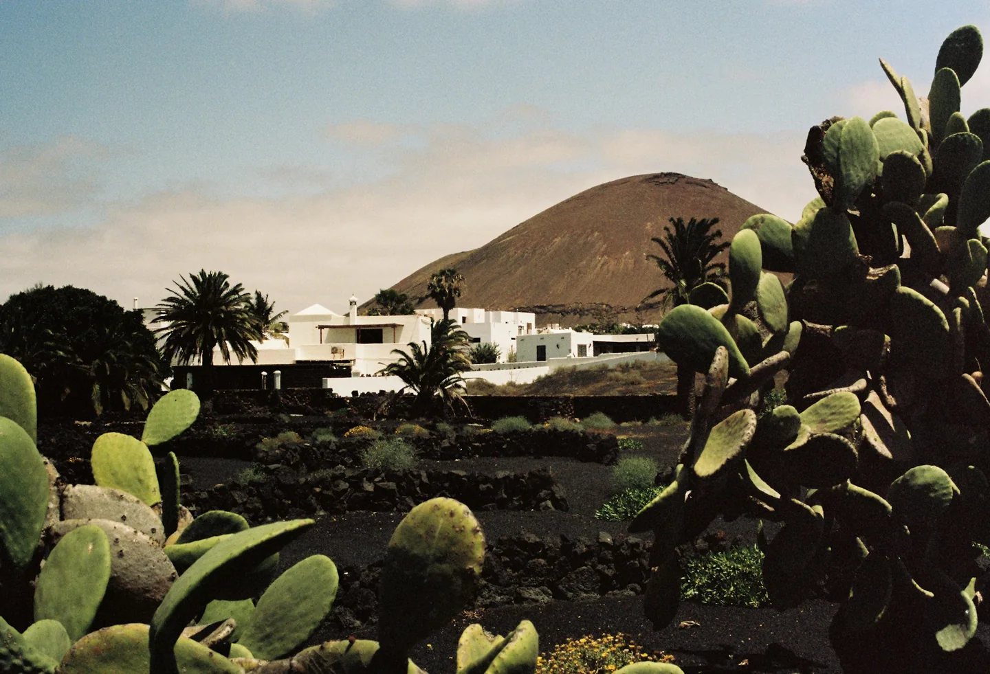 Cactus y casas blancas ante un paisaje volcánico.